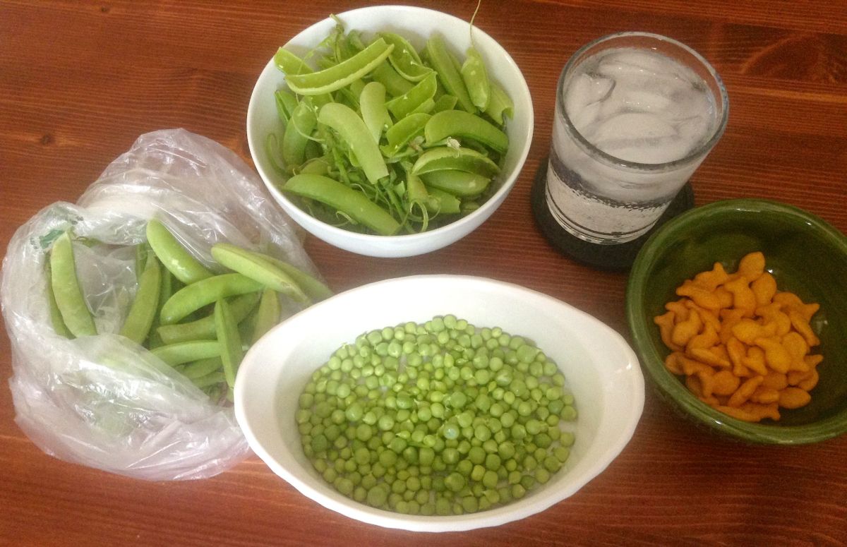 Shucking fresh peas