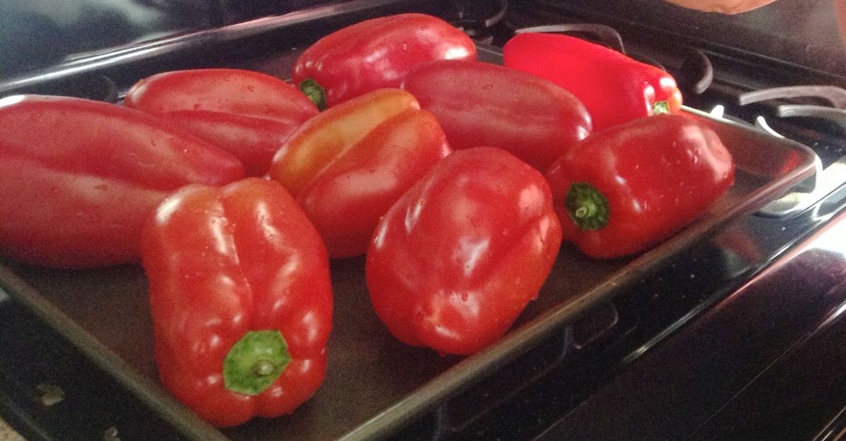 Peppers, ready to roast.