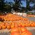Merrymead Farm