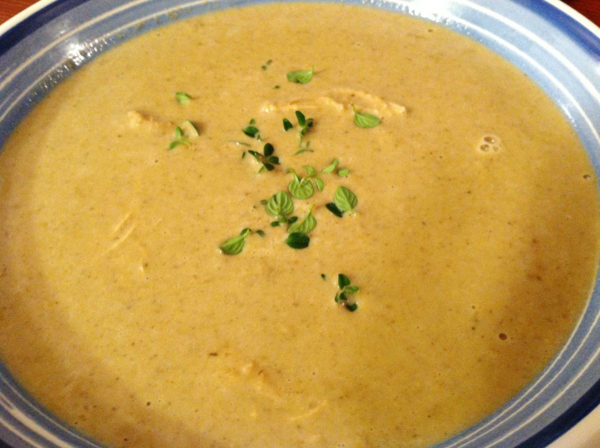 Creamy Mushroom and Chicken Soup