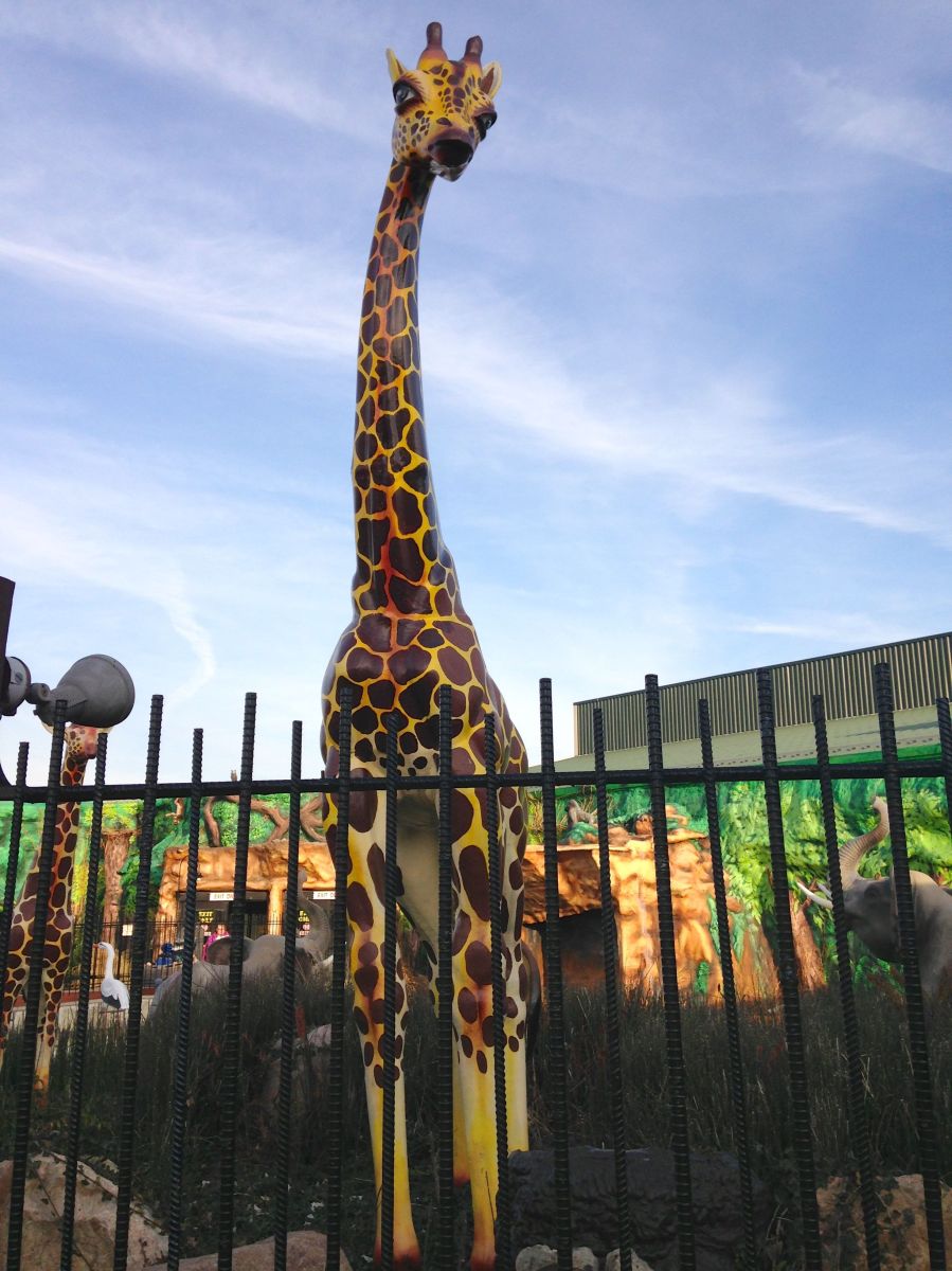 Wha?!? What kind of place is this??